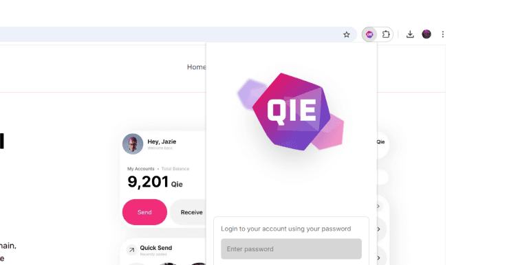 Browser extension interface